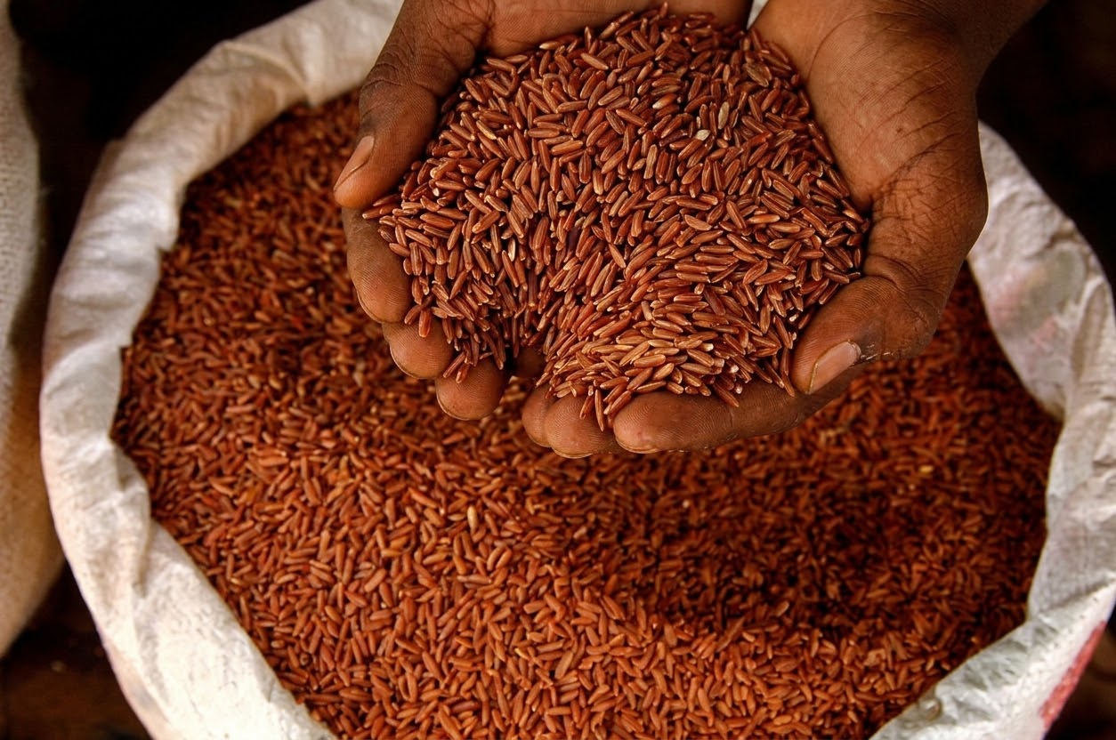 රතු කැකුළු සහල් rs.179